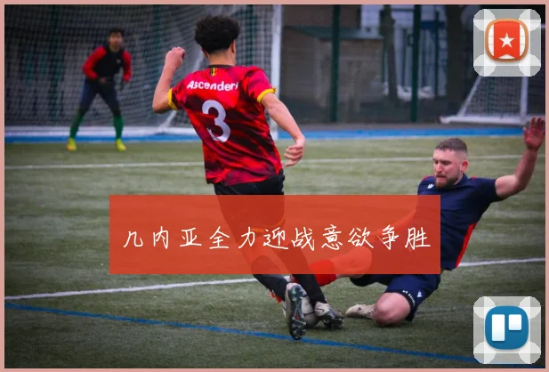 几内亚全力迎战意欲争胜